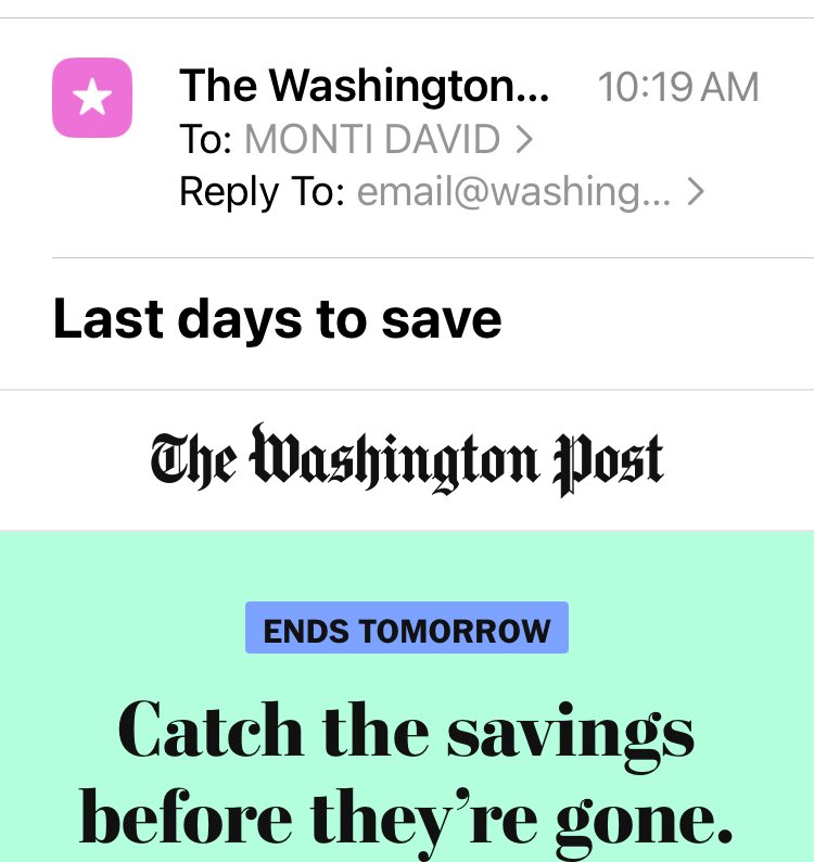 David Monti 🥑 tweet media