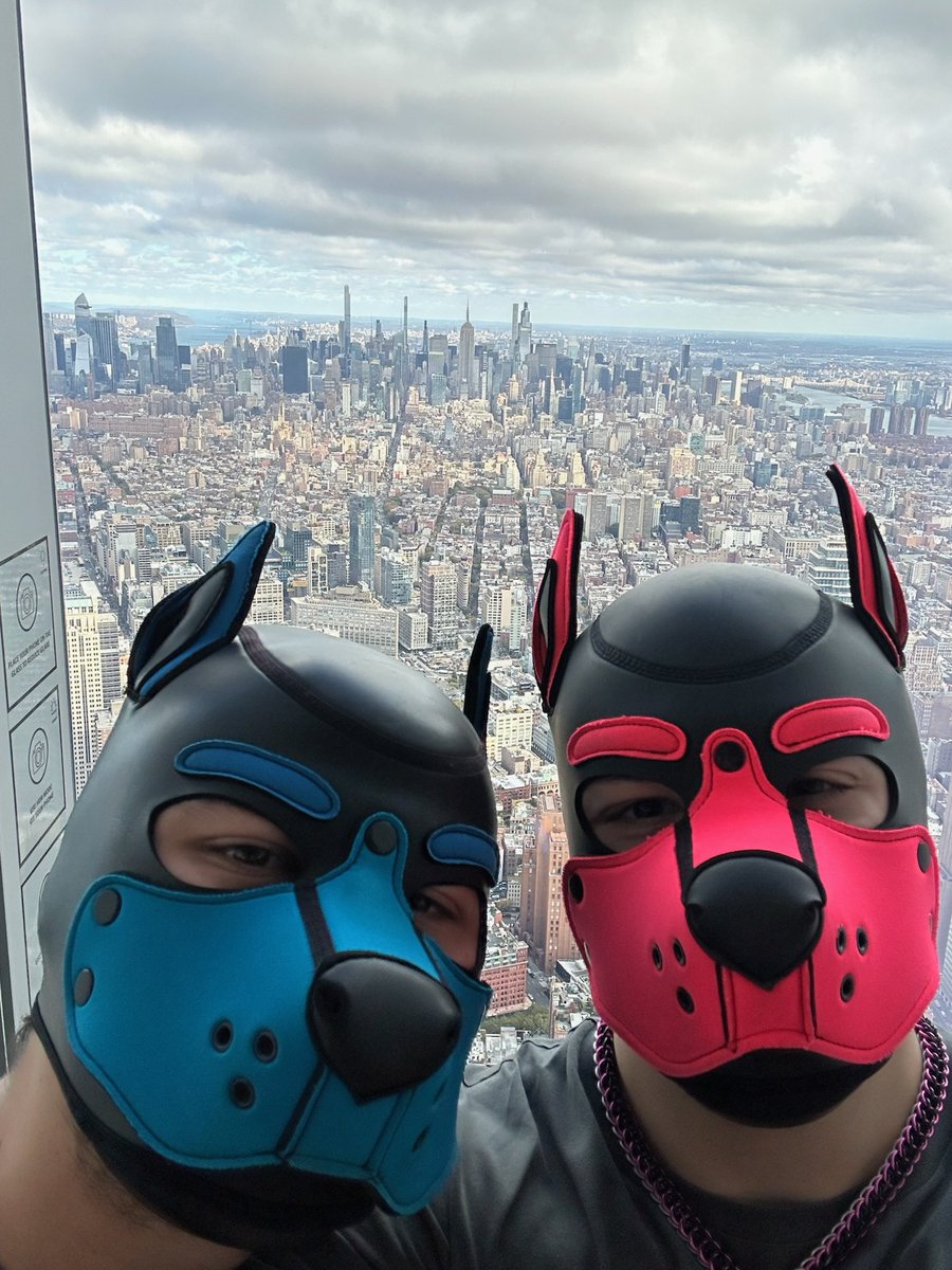 Axel 🔜 🎄🎄🎄🎄🎄 tweet media