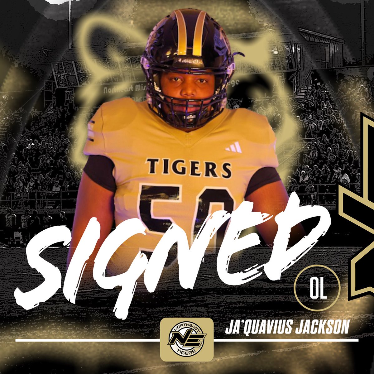 Northeast Tigers tweet media