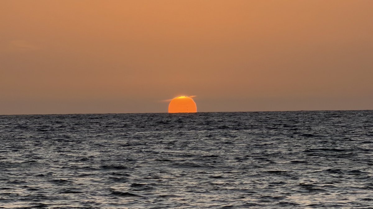 llllY77's tweet image. 