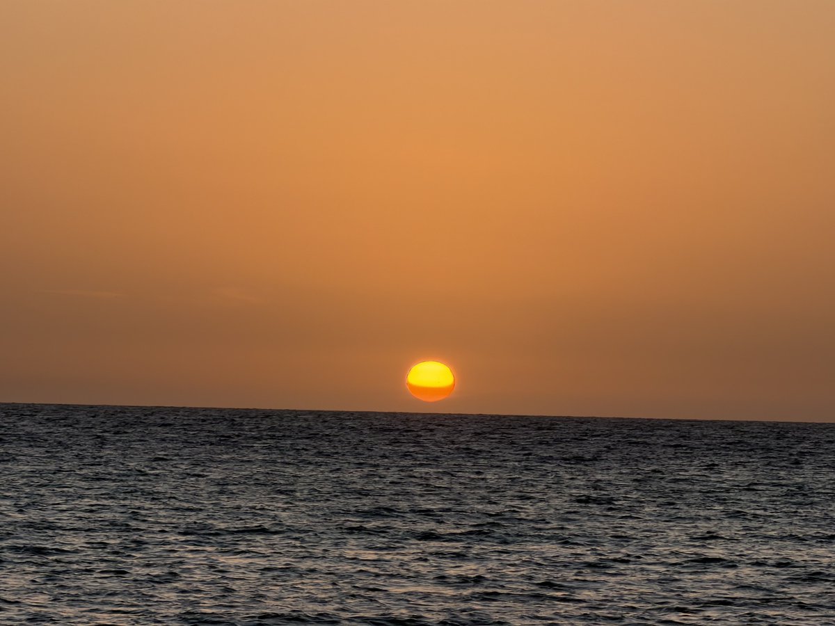 llllY77's tweet image. 