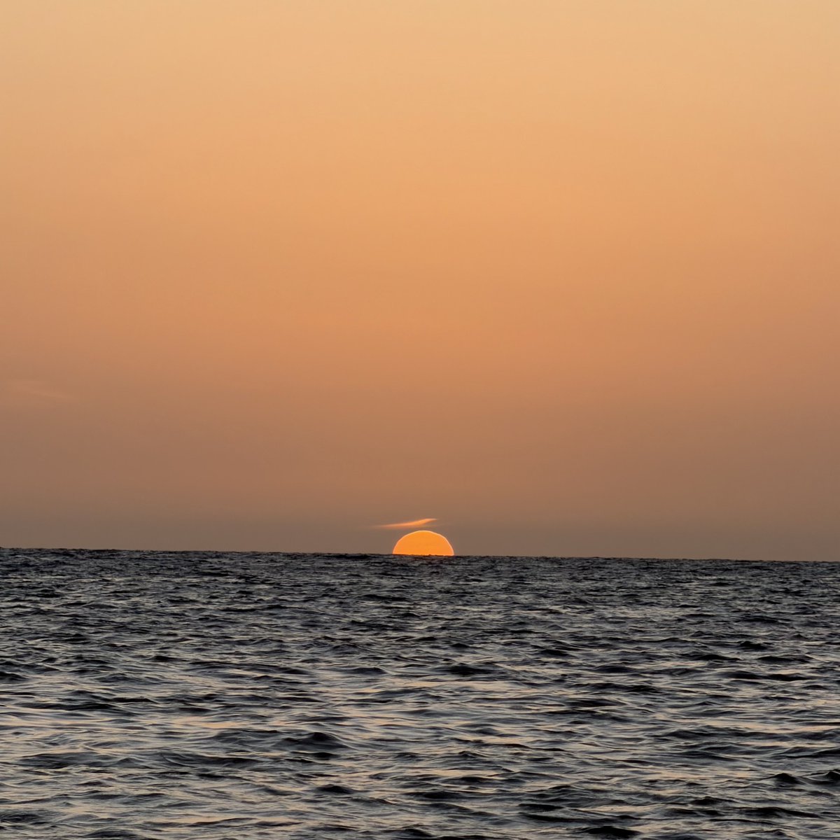 llllY77's tweet image. 