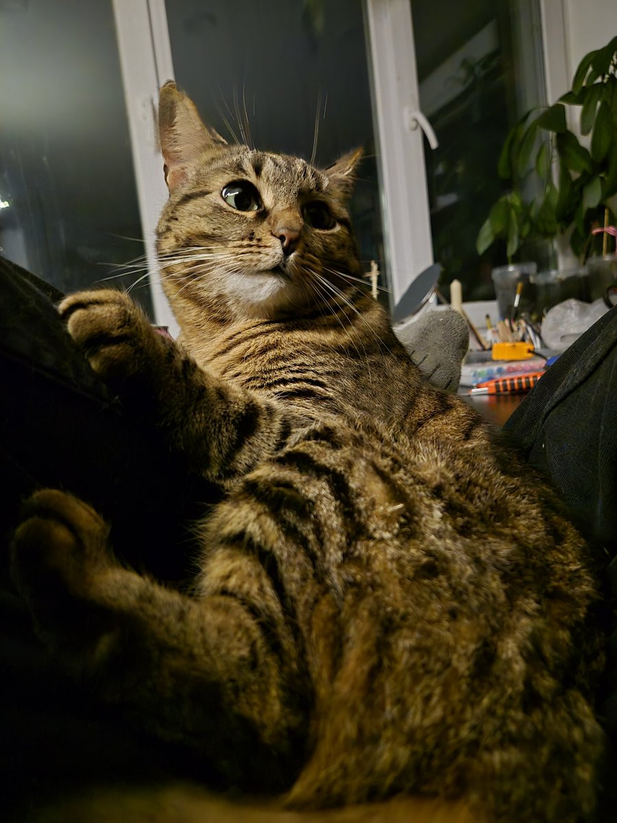 BugMauster's tweet image. 