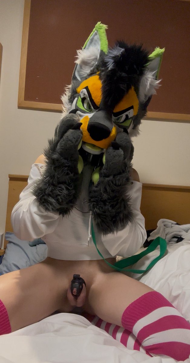 Lepton but gayer 🔞 tweet media