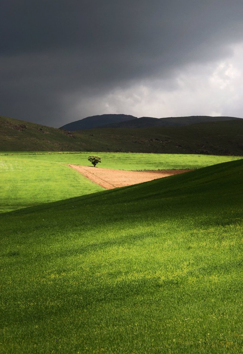 Abbas Rahmani tweet media