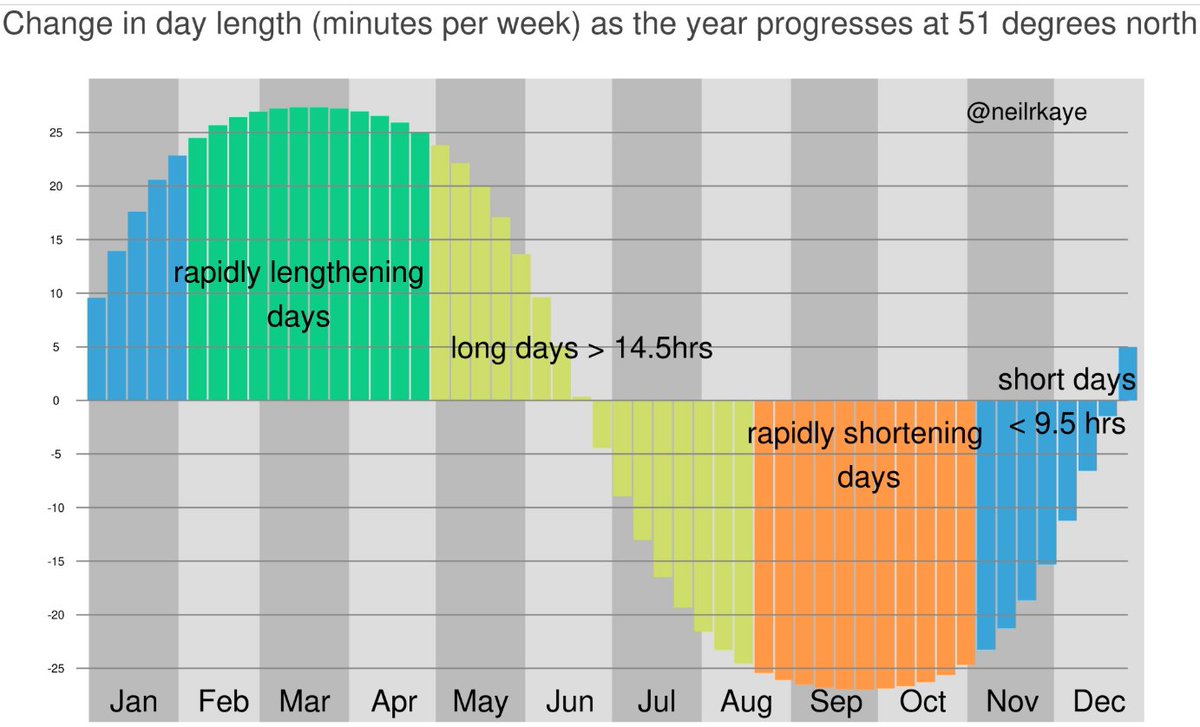 Rob Lawrence tweet media