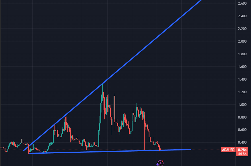 Sssebi🦁 tweet media