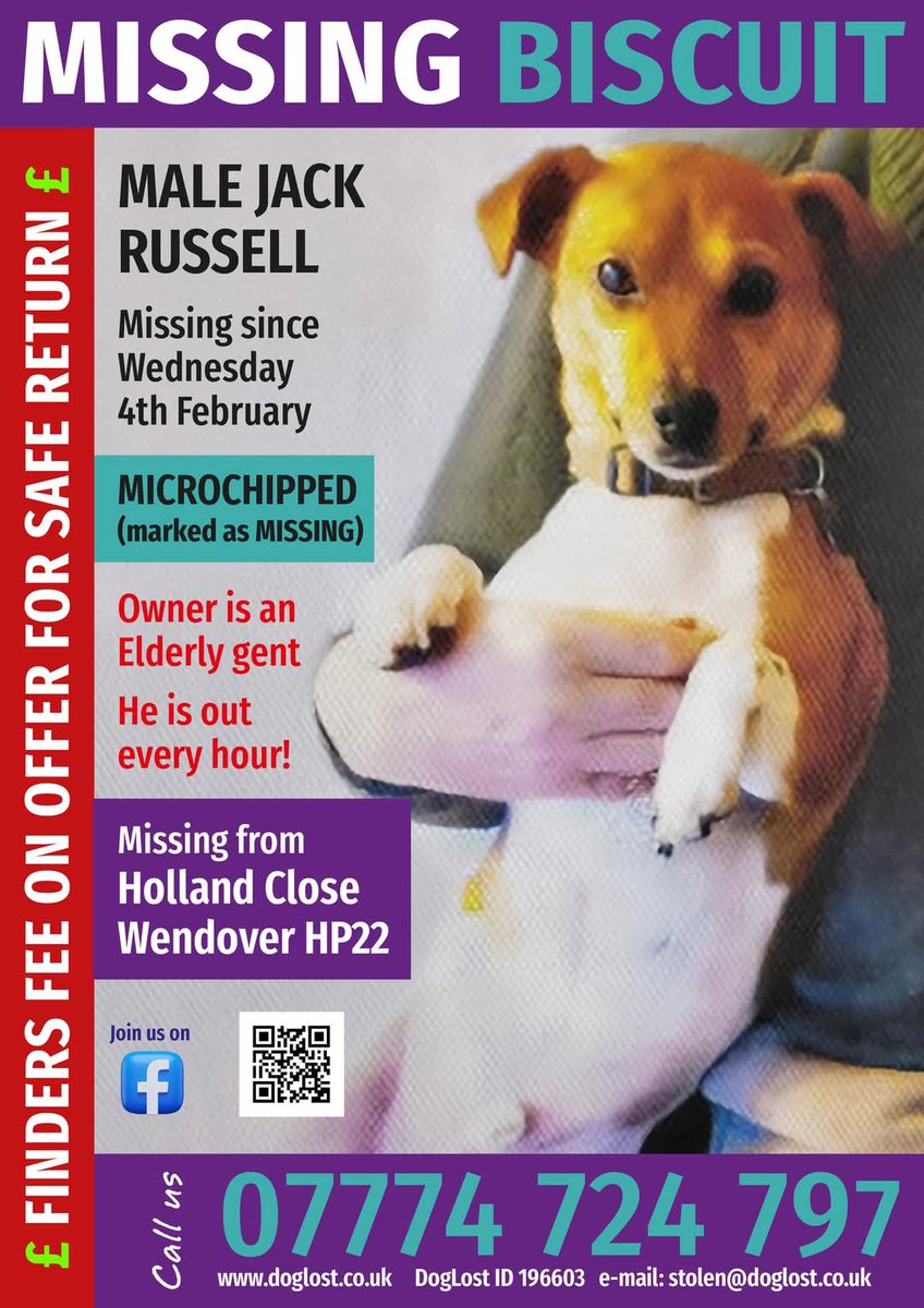 MissingPetsGB's tweet image. Sadly today marks a year that BISCUIT has been #missing 

His poor elderly owner... Biscuit is suspected stolen. 

Lost from HOLLAND CLOSE #WENDOVER #HP22
4 Feburary 2025

Please please get in touch if you have any information 🙏🙏🙏