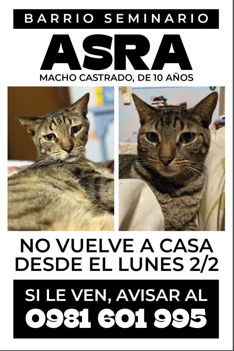 Susy Ricart (@susyricart) on Twitter photo 