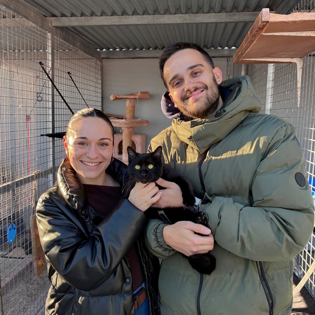 El Refugi dels Peluts tweet media