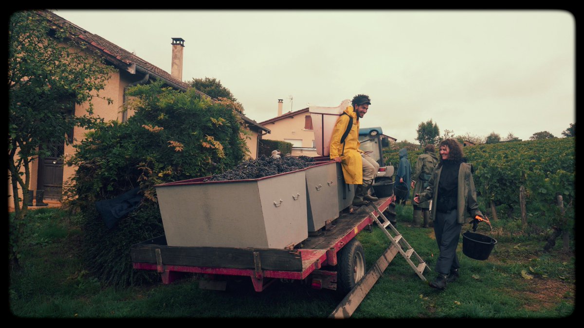 YannickEsteve's tweet photo. Stills from my last film.

Les Vendanges https://t.co/CaPXszBFqs