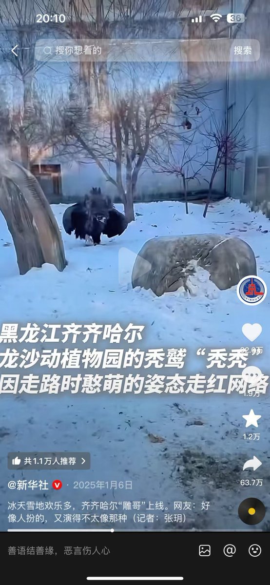 0xbbe01dfa0c2172f04a19785bf7c31ad6252c4444 就叫秃秃 央视都报道过  douyin.com/video/74567017…