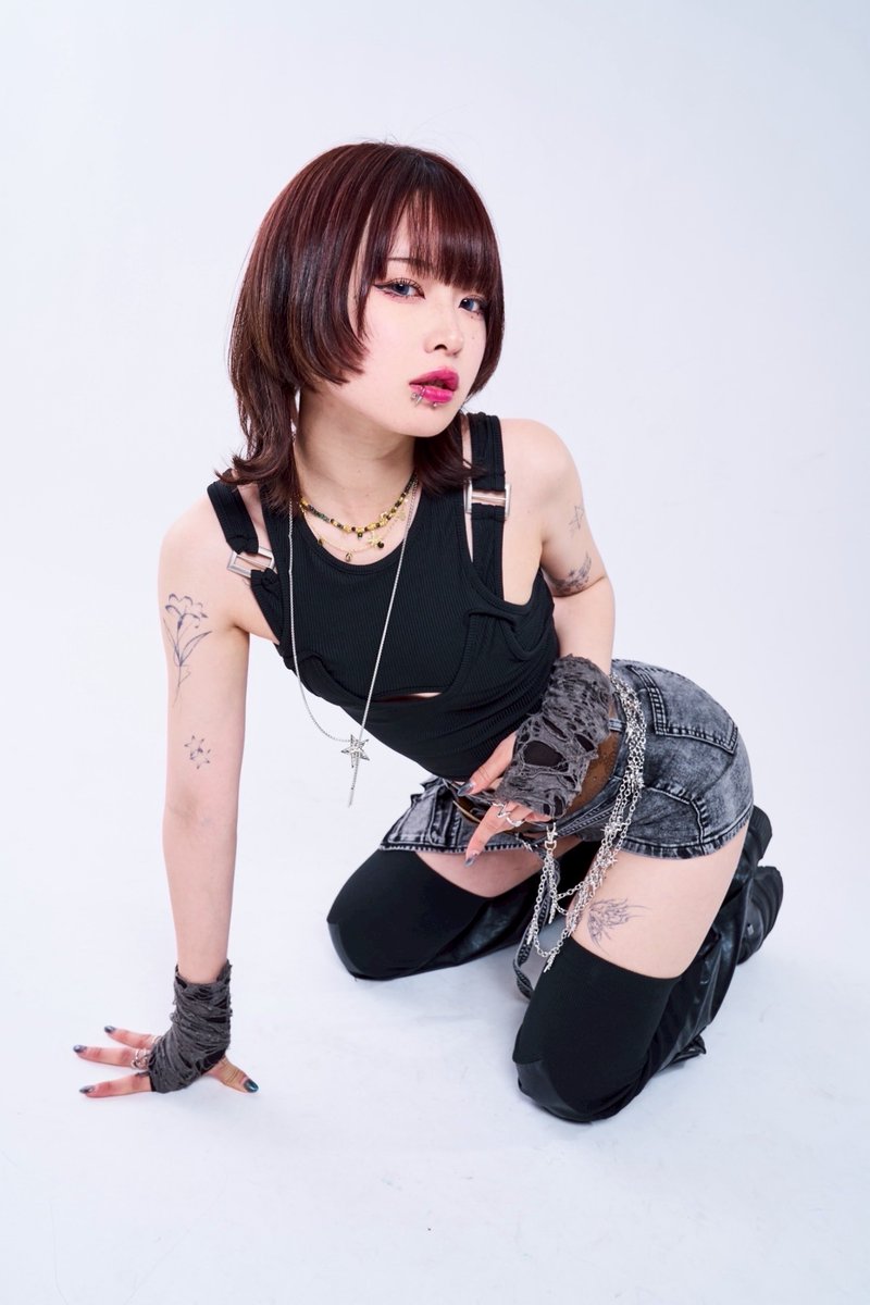 皓 shiro (@x666hyz) / Posts / X