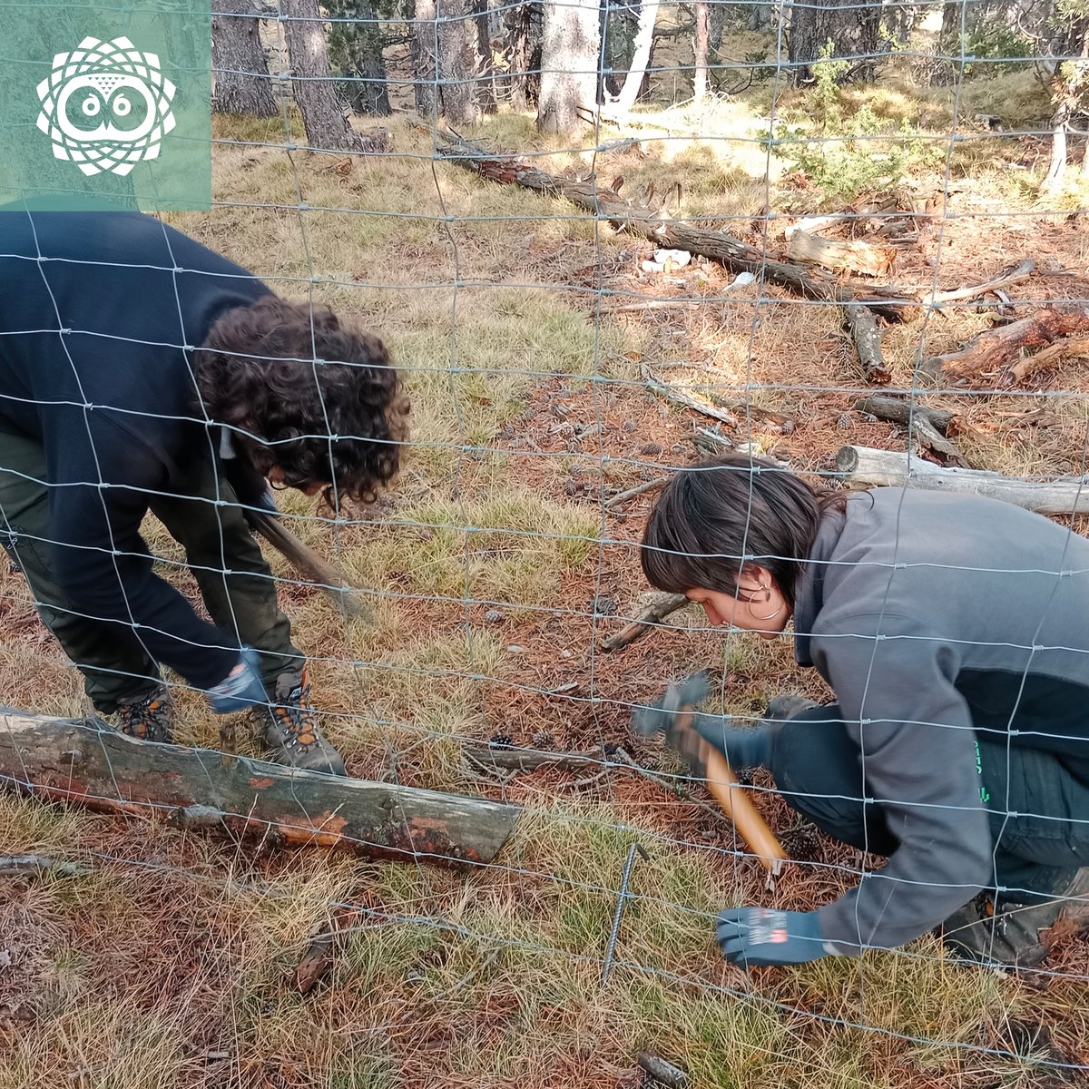 LIFE_UNCINATA tweet media