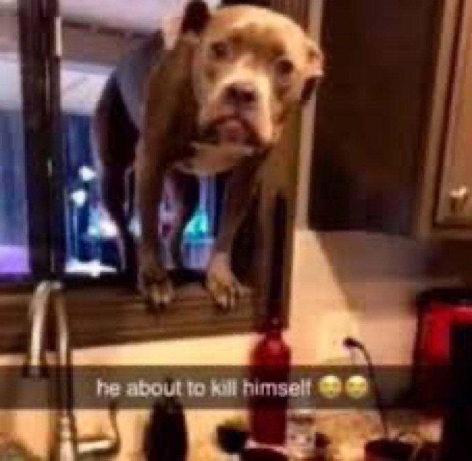 he replied ”i dont think so”