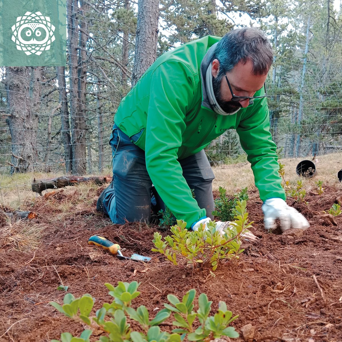 LIFE_UNCINATA tweet media