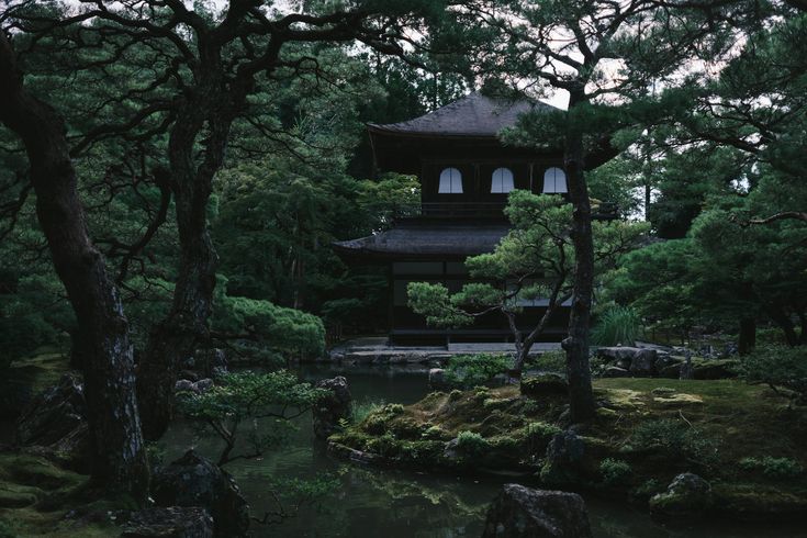 elemmiressoul's tweet image. tranquility.