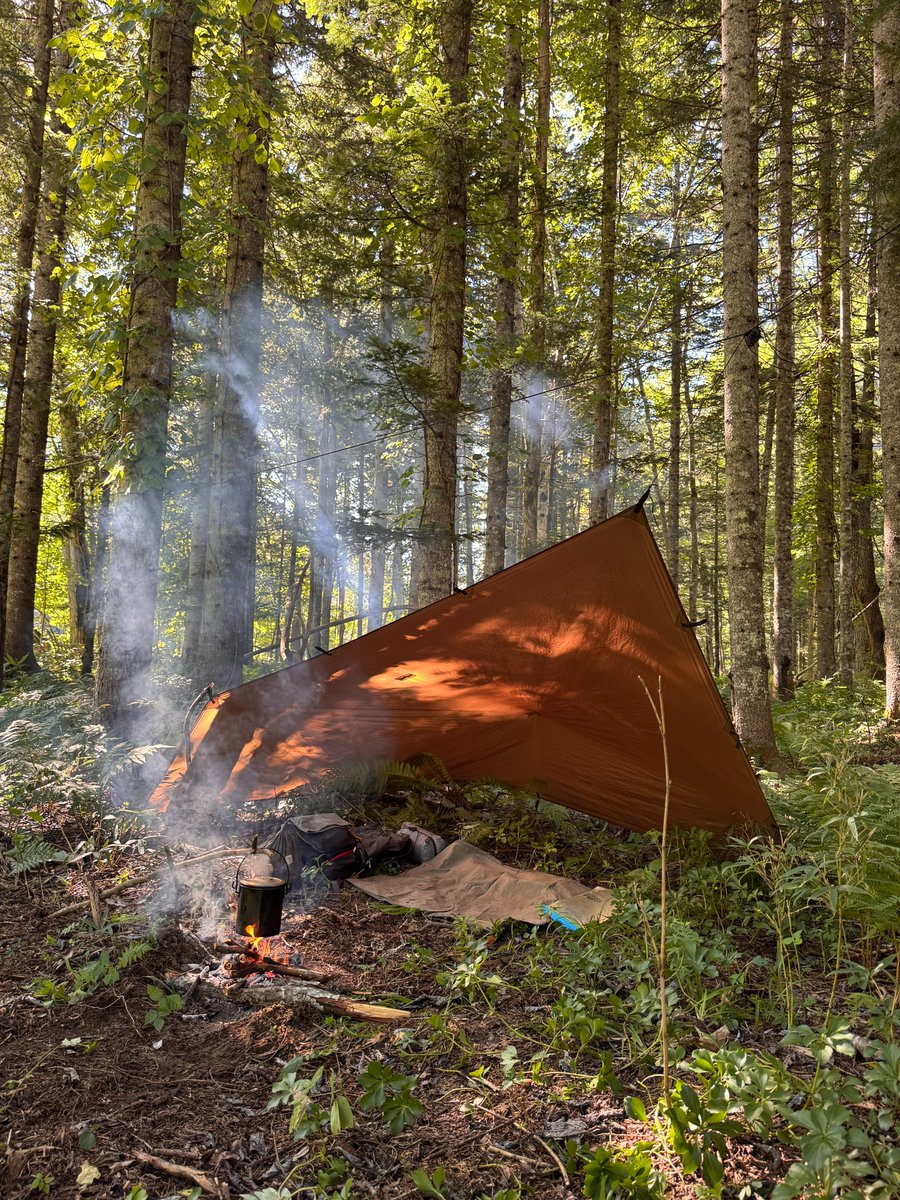 3way Camp SheetのOD色が2/5(木)20時より再販です⚡ 最もお勧めしたい