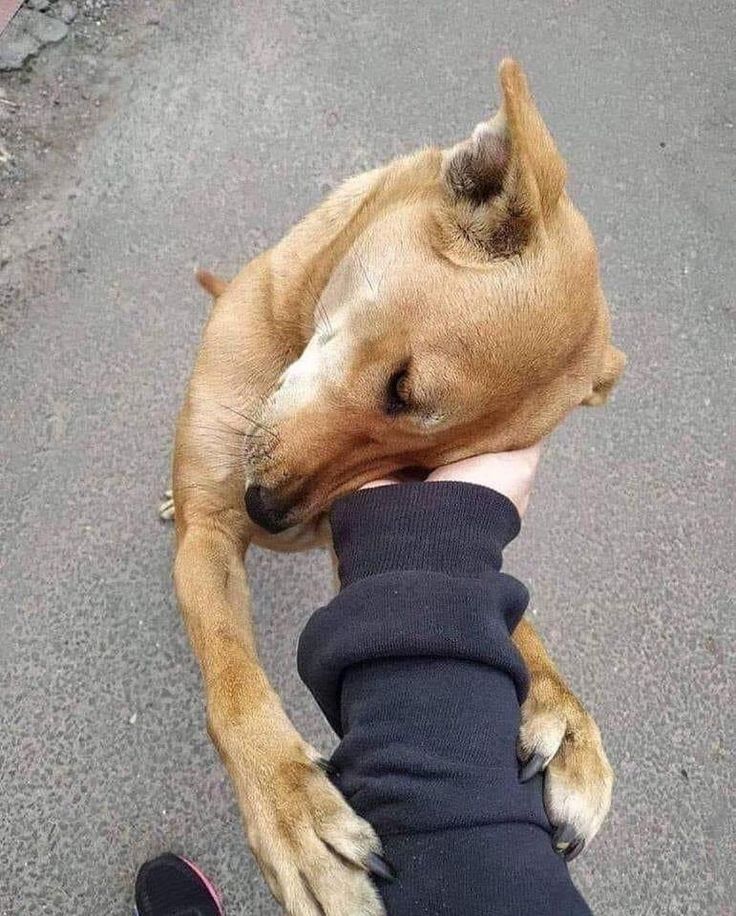 itimaliasof's tweet image. 