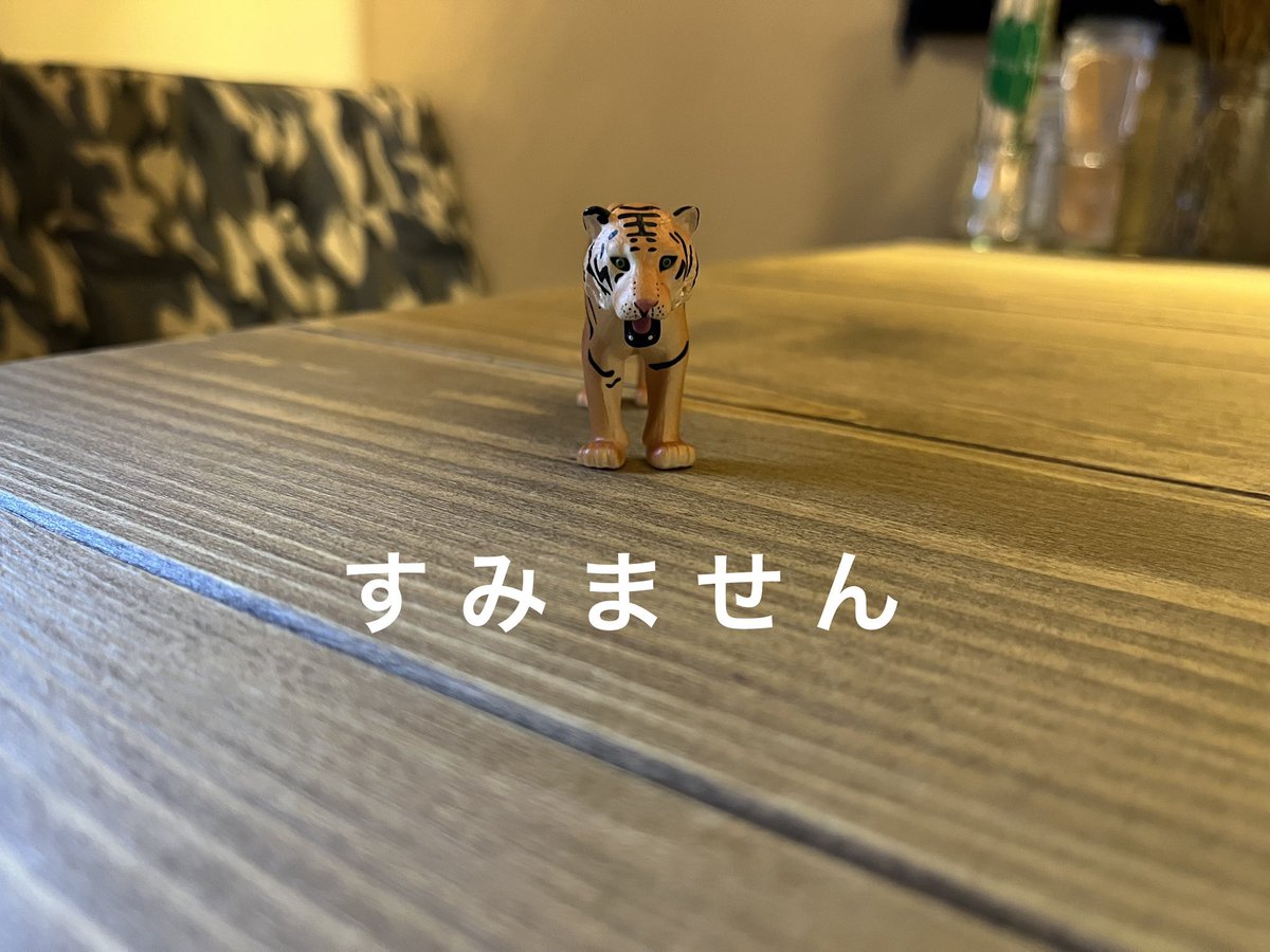 トラノハチワレです
現在からあげと鶏料理の在庫がのこり僅かとなりました。
売り切れの可能性がありますのでご承知おきください。