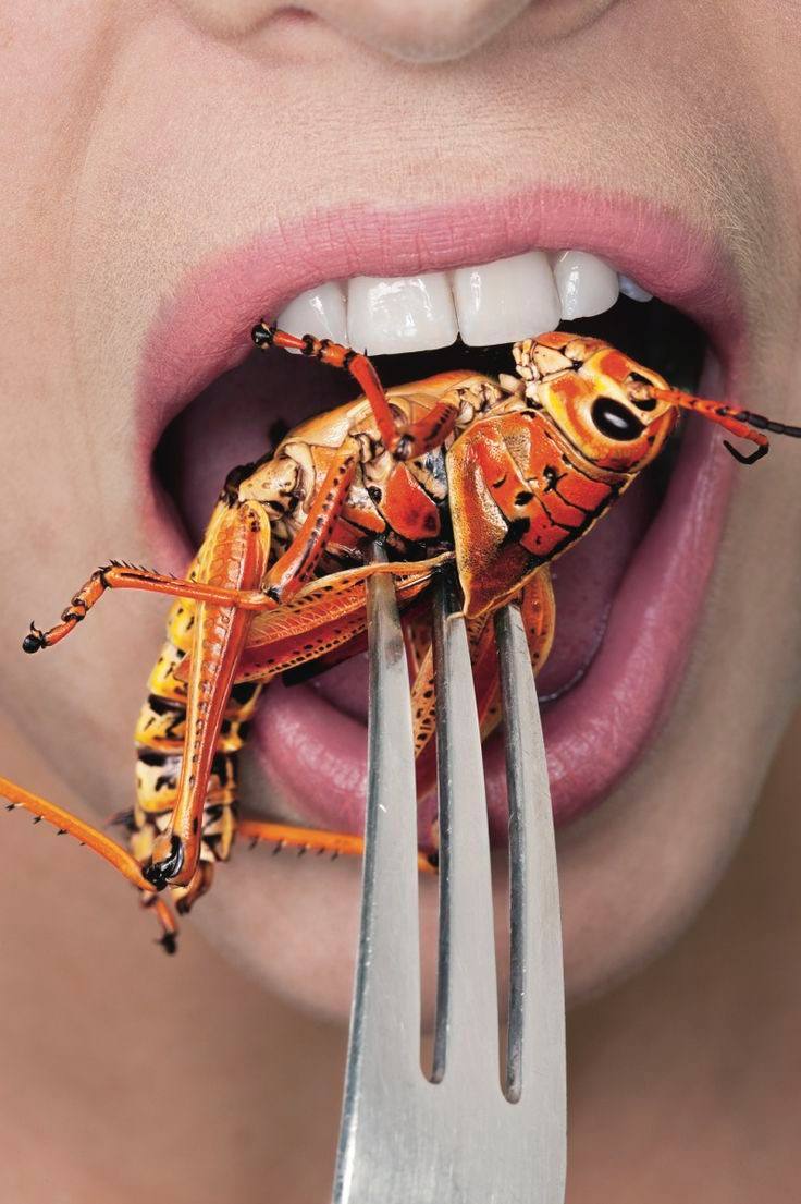 Lennart🇩🇪 tweet media