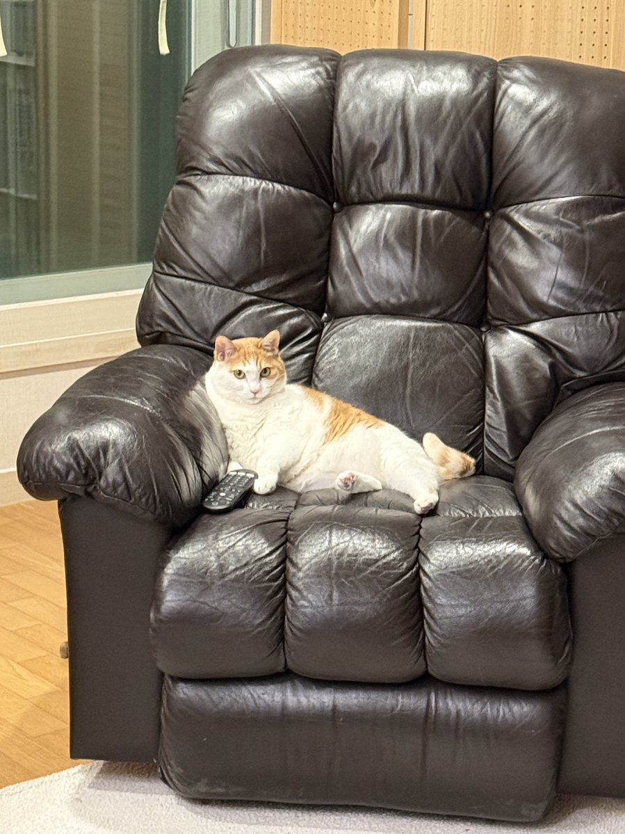 집 도착해서 본 첫장면