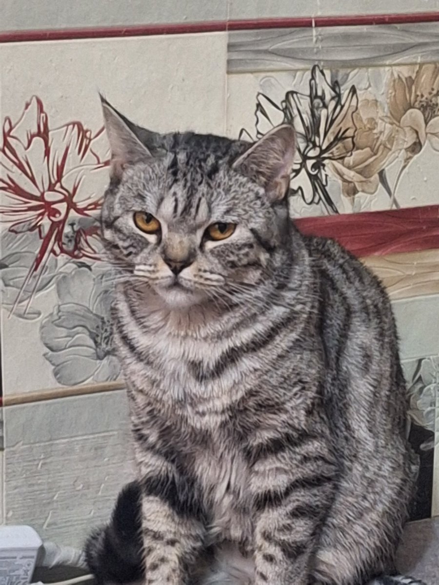 деловая колбаса