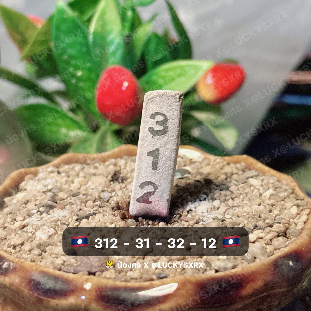 ลาวพัฒสายมู 🐯✨

🇱🇦 3 2 1 🇱🇦

351 821 851 327 357 827 857

💵 รวยรวยรวย - 24เฮง.com/u8M345489426