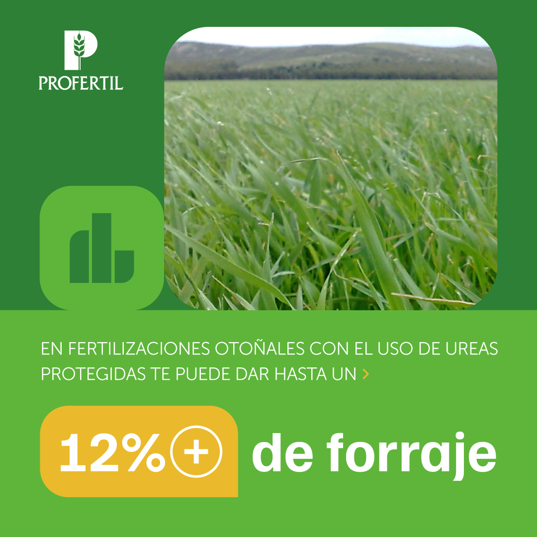 Profertil tweet media