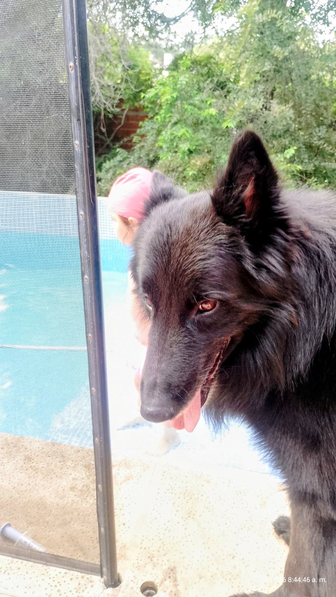 Ya tenemos 30°en Córdoba, 8am
Cada quien se despavila como quiere