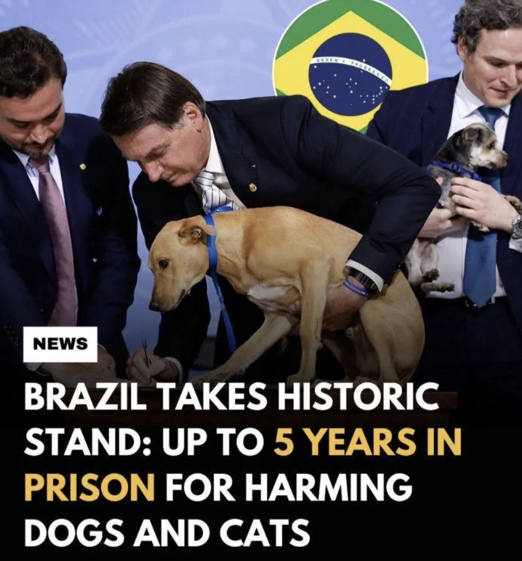 MensHumor's tweet photo. Finally some good news. https://t.co/fpClUkrD1Q