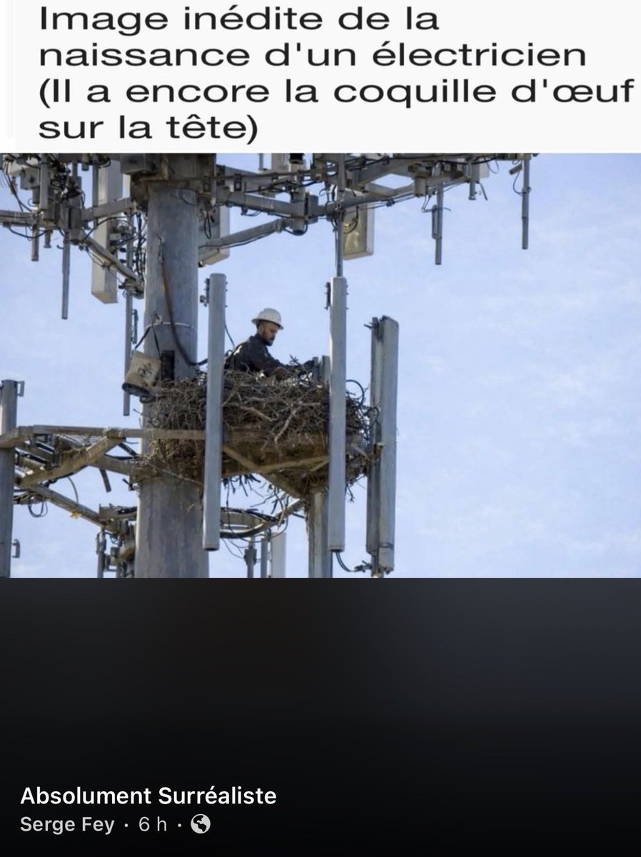 Patrice Coquereau tweet media