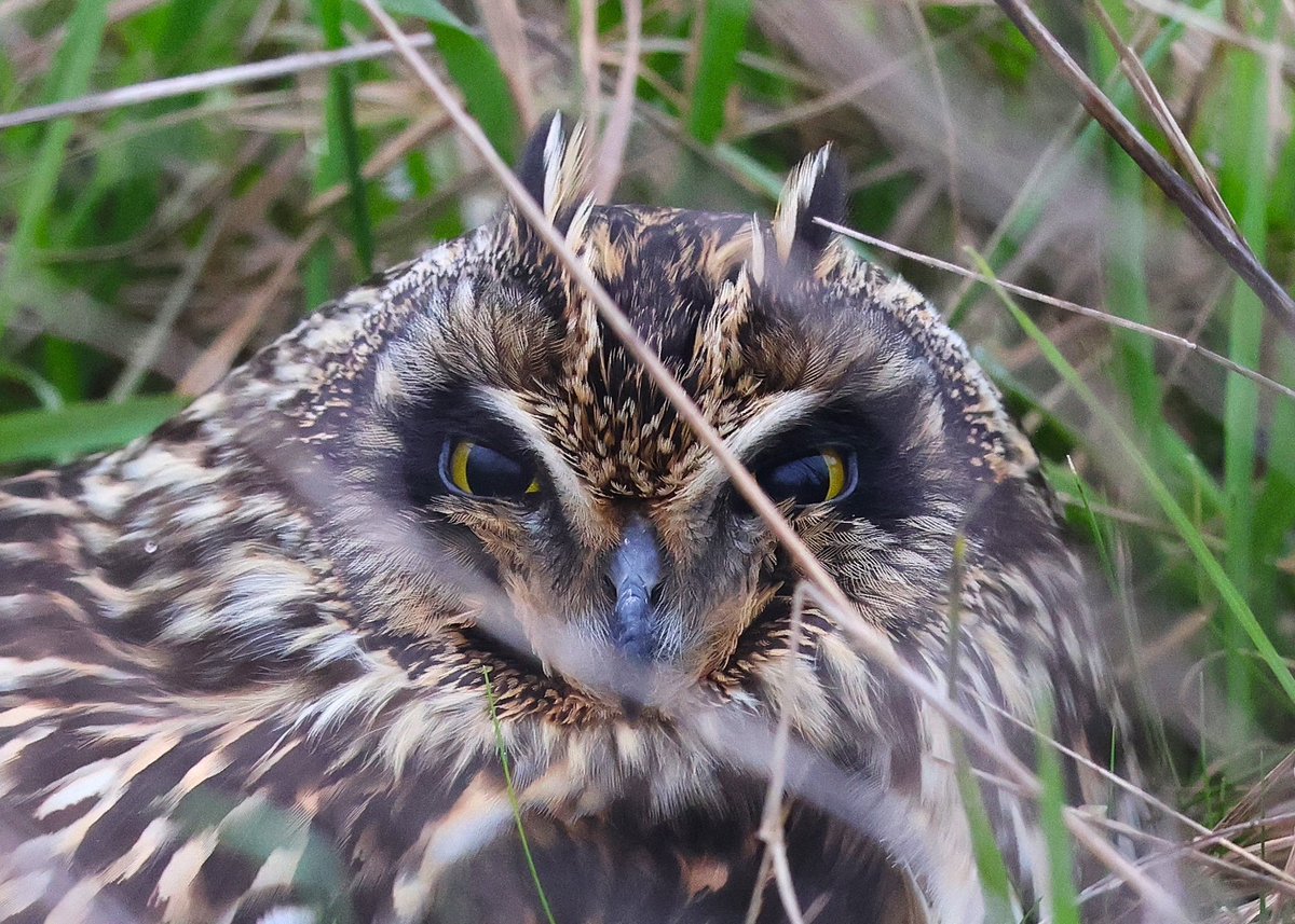 Paul Coombes 📷 tweet media