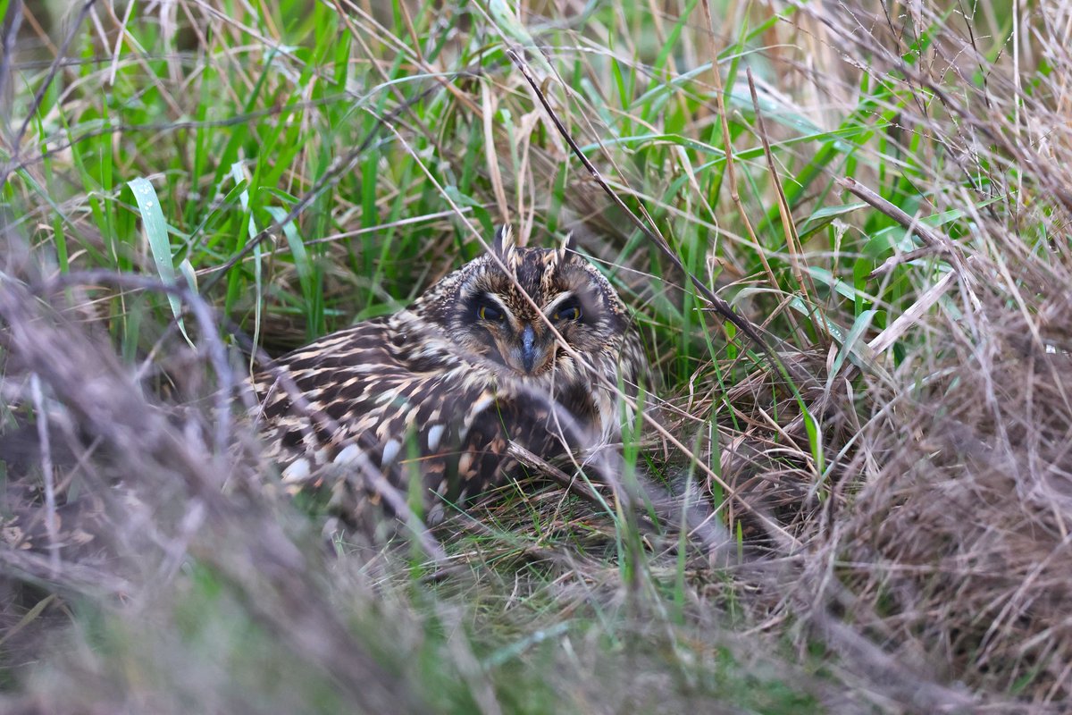 Paul Coombes 📷 tweet media