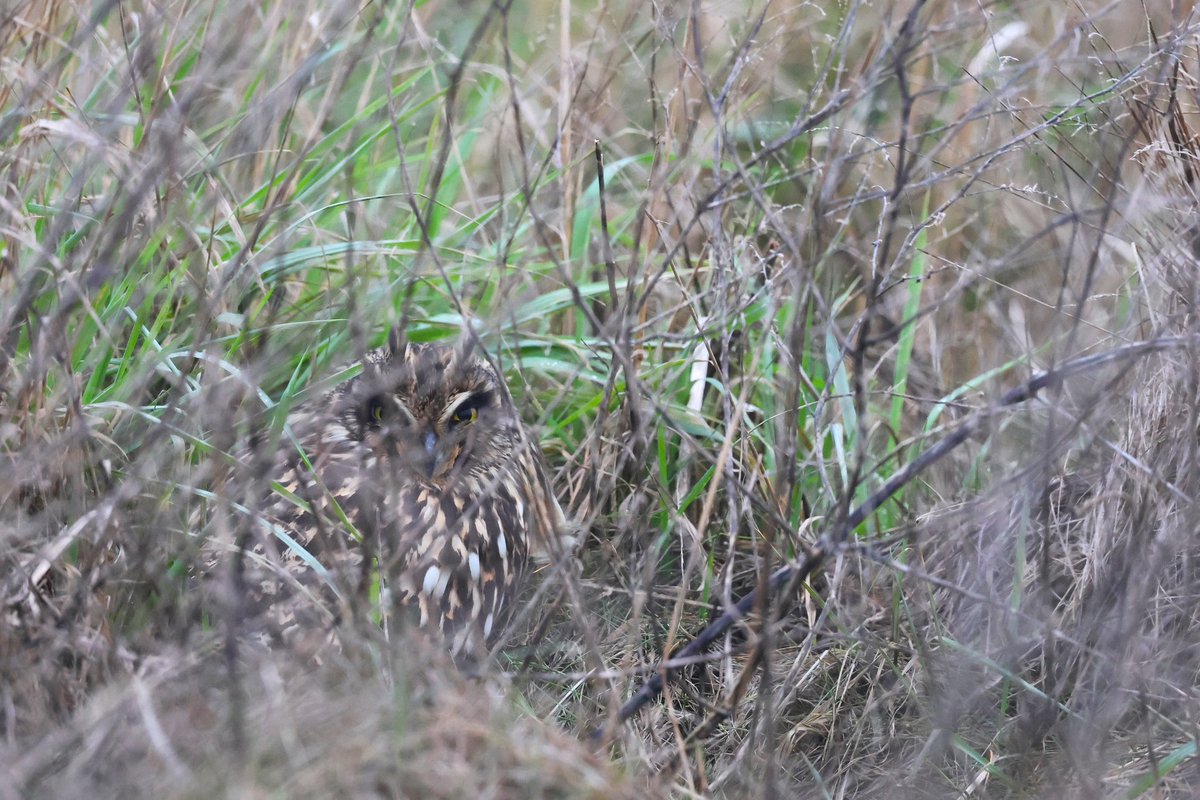 Paul Coombes 📷 tweet media