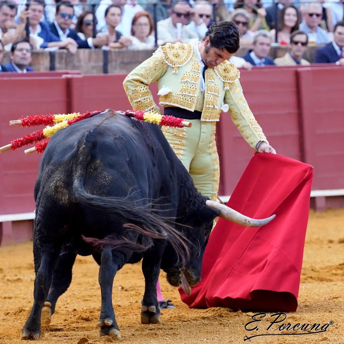 Echar de comer, con toda la verdad del mundo.

📸: <a href="/EDUFOTOROS/">EDUARDO PORCUNA</a>