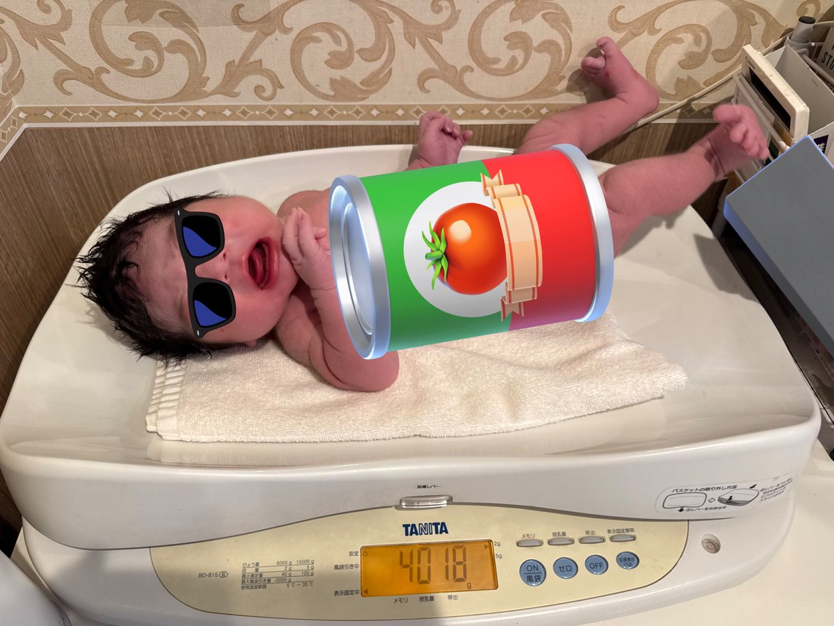 こは🐩︎︎︎︎☺︎2m🦕 K2日 tweet media