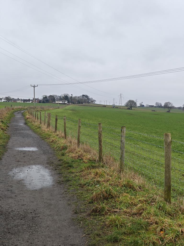 theluthier63's tweet image. 🚴🌲
#GetOut 
#MentalHealth