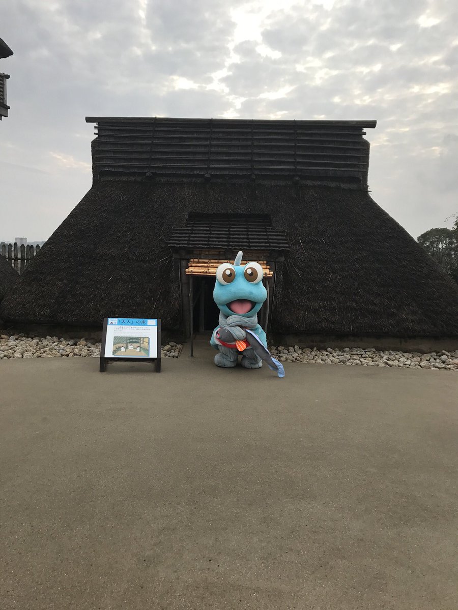 うぢちゃ(๑•🐽•๑) (@ujitya32) / Posts / X