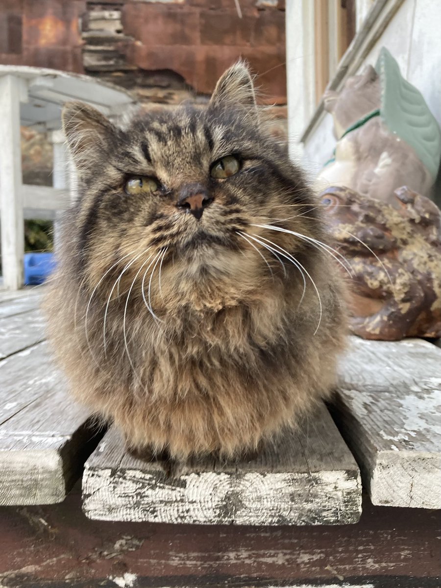 夕方の様子 今日は、寒さで強張った体の力が和らぐような暖かさでした