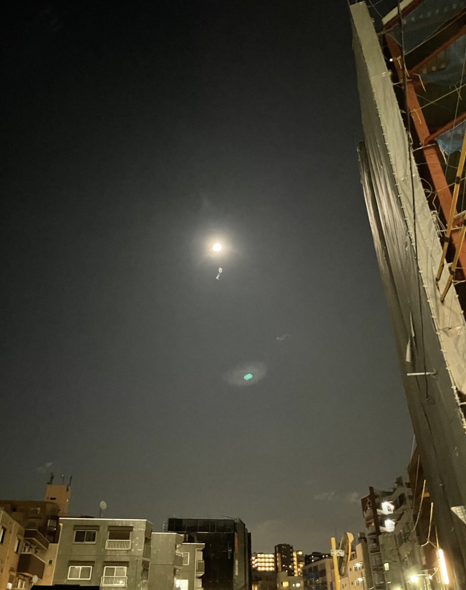 _oox7x's tweet photo. 満月の夜のSunny Girl🌕
うれしい！たのしい！うれしい！😭💖 https://t.co/qiGSSuKBQA