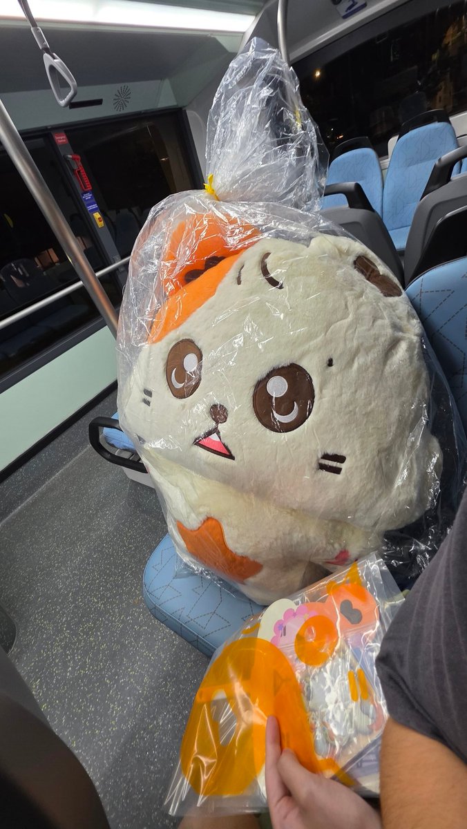 버스 타는 대왕 햄뵤리 
#별이를_찾아라