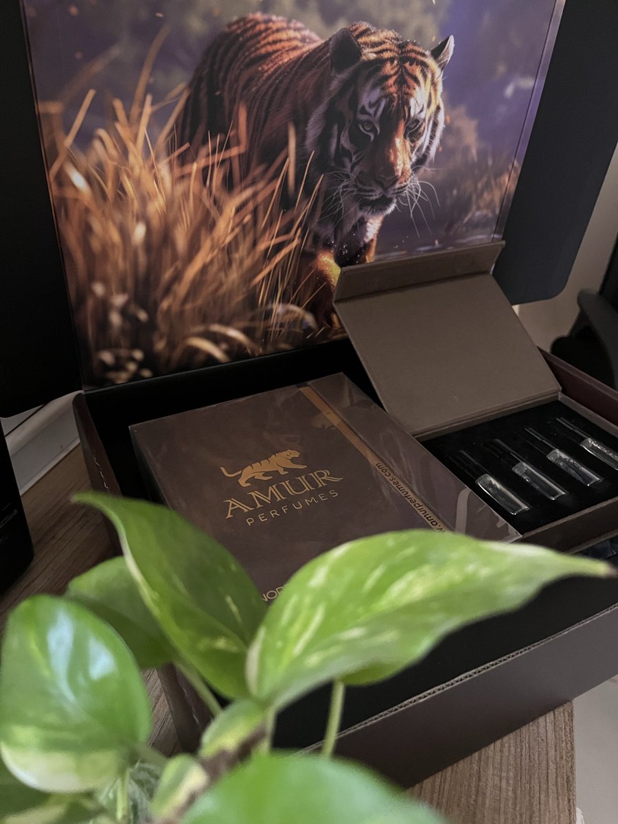 <a href="/4amurperfumes/">بدر - آمور</a> <a href="/qwtalqlwb18/">قــــــوت … 🤍</a> <a href="/meme25m5/">‏مـيـمـي بـنـت الـبـدو 🇸🇦🫀🕊️</a> <a href="/ibrahimx1/">Ibrahim | إبراهيم</a> <a href="/H_123D/">هـدِووء 🧚‍♀️💙</a> <a href="/5yany5/">#عميد_العالمية #CR7𓃵</a> مُمتنّة جدا لِلجمال اللي وصلنِي🌿

ممتنّة  على العطر الجميل جدًا من آمور.  
والله فعلاً انتقاء  مذهل ومميز ! ما مرّ عليّ أبدًا رائحة تشبهها والحقيقة اني كنت متخوفة بانها ماتعجبني  لكن
الحمدلله راقت لي جدا منعشة وباردة وفيها نوع من الفخامة والأناقة اللي تخلّي الواحد يحس بشعور حلو