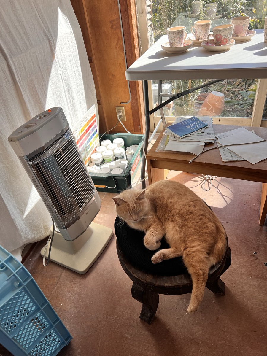 逃猫舎 (@nigenekosya) / Posts / X