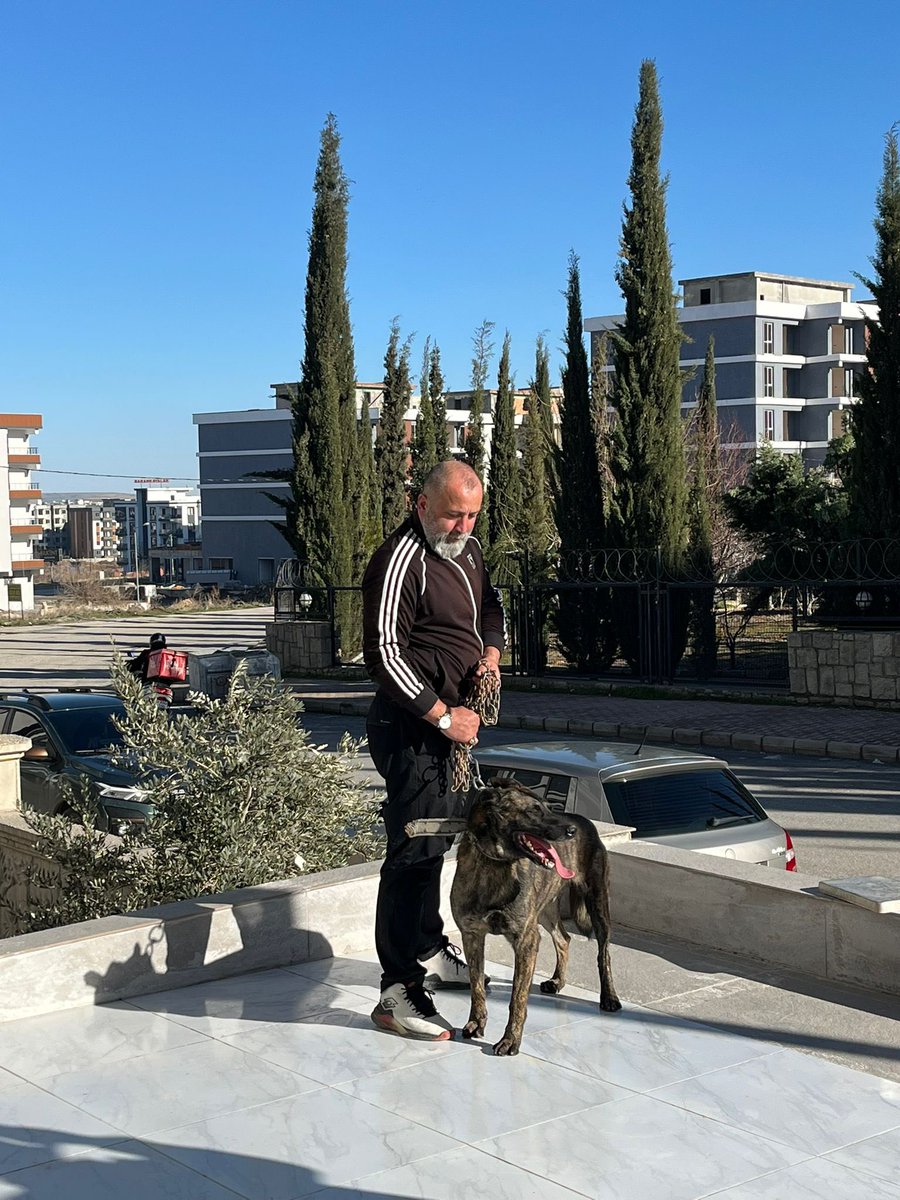 Akrep_3316's tweet photo. Nükleer silahım :) baykan bey https://t.co/O3GXrb8Jun