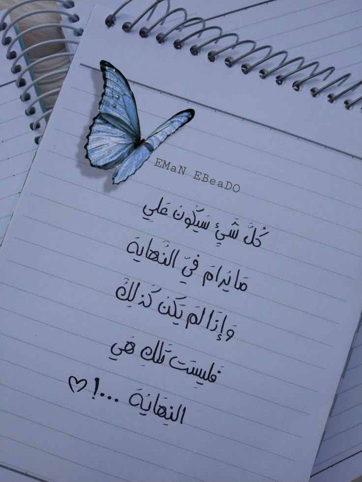 🦋ɑ̈ɹɹ̈̇ɹȊȷᓅ🦋 tweet media