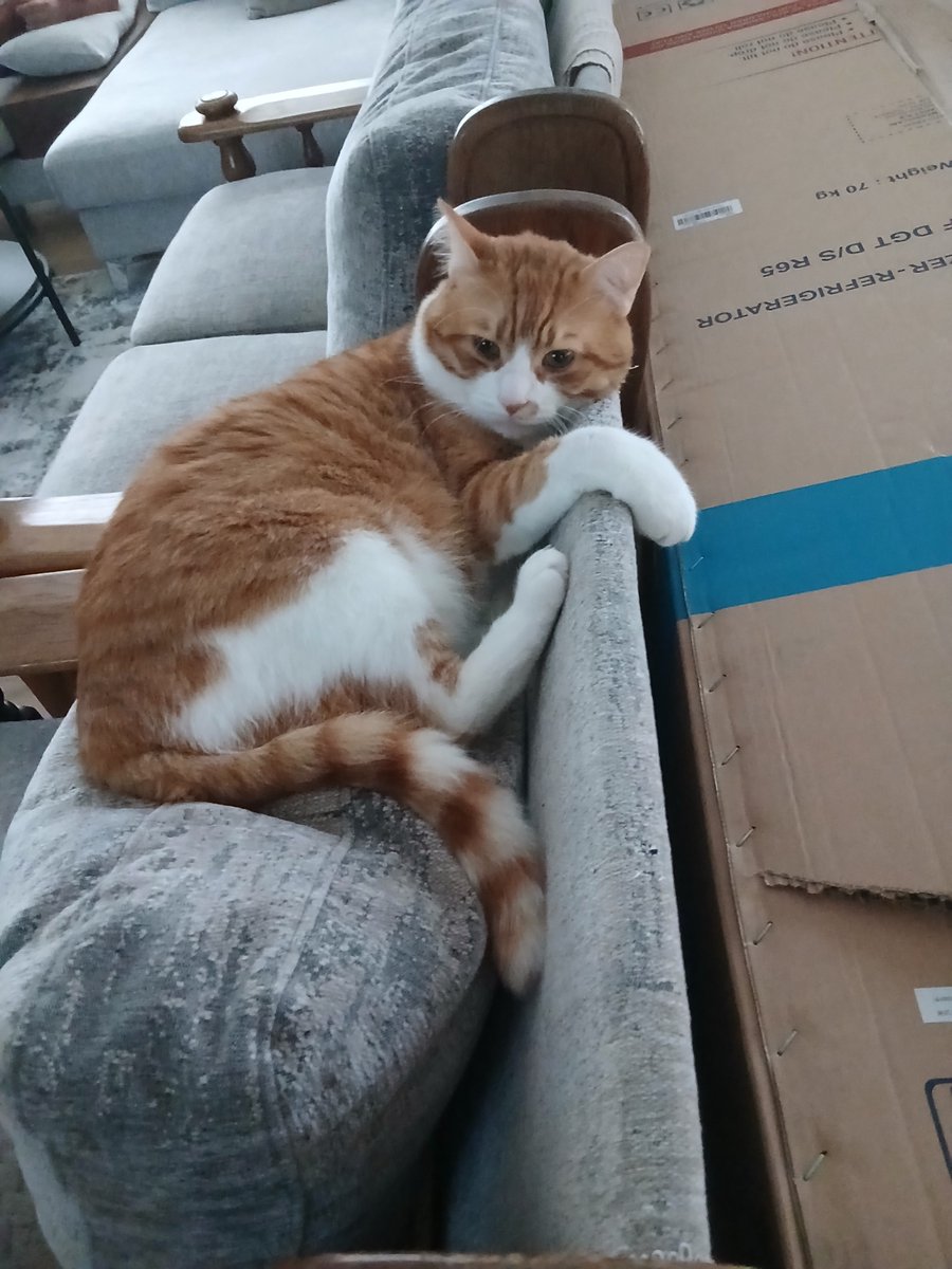 Çok elleme dedim ,anlamadın
Dur yapma dedim dinlemedin..
Akşam rotor yaptın ,geç kaldın.

Leonun güncel hatırası...