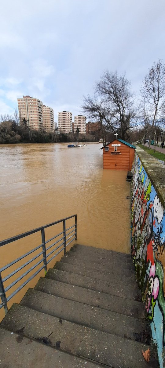mikemoratinos's tweet image. El Pisuerga ya ha casi engullido el muelle de la Leyenda del Pisuerga, que está amarrada en el medio del río😱y ya no hay paseo al lado del río. Y más que va a subir si se cumplen las previsiones😳😳consecuencias de estos inviernos tan secos...🤷🏻‍♂️👇🏻