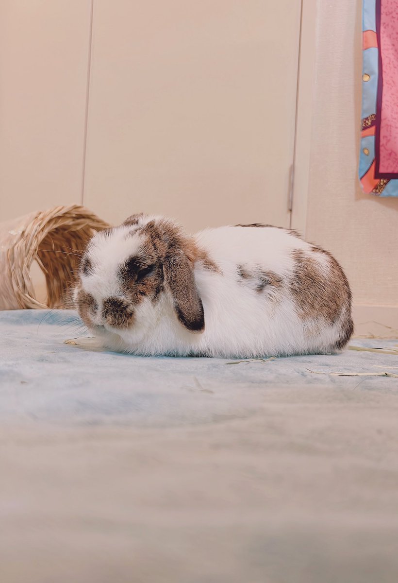 おつかれさまでした🌙*⭐︎