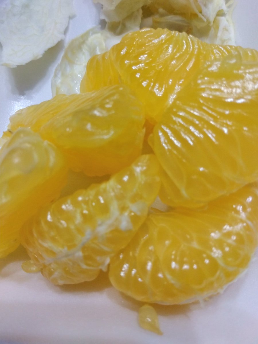 kouhei2708's tweet image. 酸味無く爽やかな甘味の豆酘のスイートスプリング🍊
　#対馬　#豆酘のスイートスプリング🍊